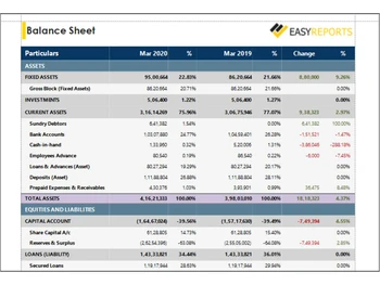 EasyReports balancesheet