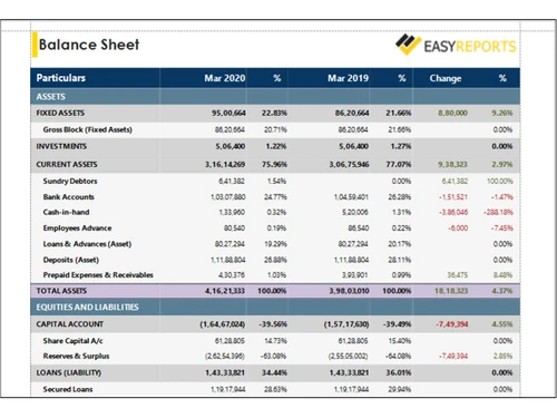 EasyReports balancesheet