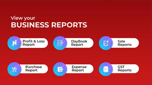 Vyapar app business reports