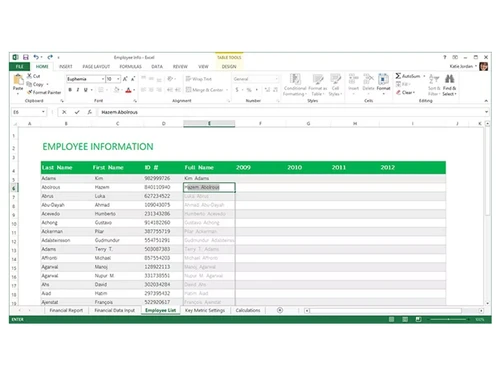 microsoft-excel-spreadsheets