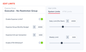 Roka Expense Management Software