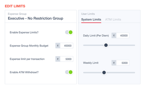 Roka Expense Management Software