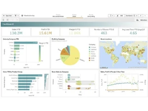 qlik interface