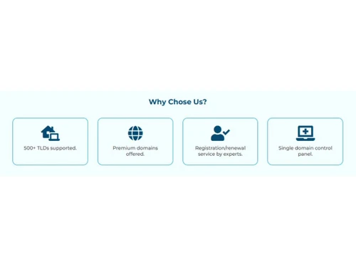 Domain Name Registration-Premium domains