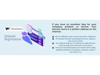 Domain Name Registration-domain name