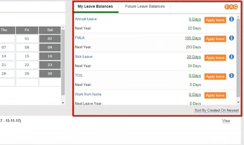 Planmyleave leave balance