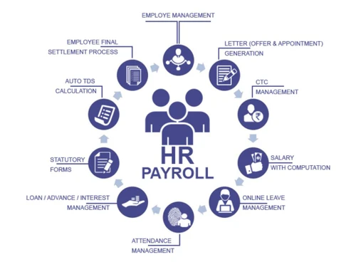 cbo erp hr payroll
