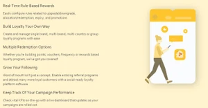 capillary campaign performance