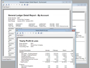Sogas Accounting Software Ledger