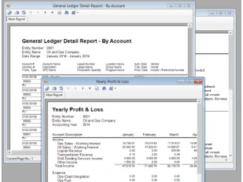 Sogas Accounting Software Ledger