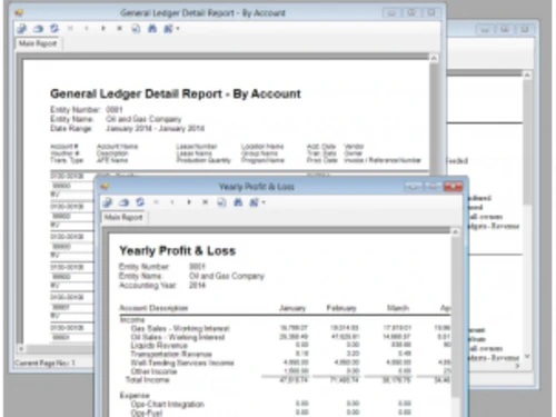 Sogas Accounting Software Ledger