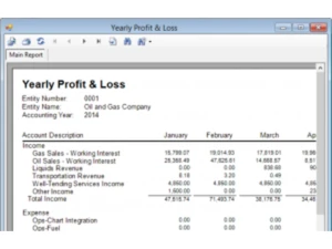 Sogas Accounting Software Profit and Loss