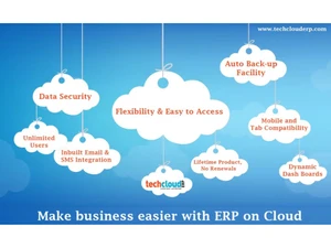 tech cloud erp access