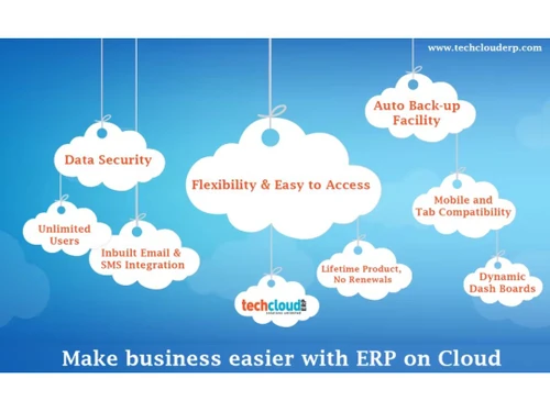 tech cloud erp access