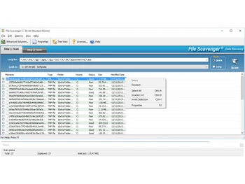 file scavanger-properties