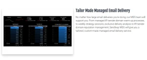 sendloop tailor made managed email delivery