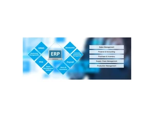 axonindia erp process management