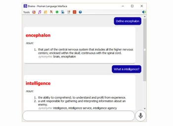 dictionary braina