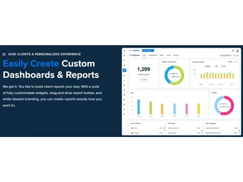 AgencyAnalytics Dashboards