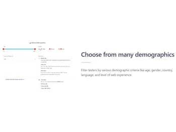 Userfeel Demographics