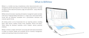 Billview-Reporting