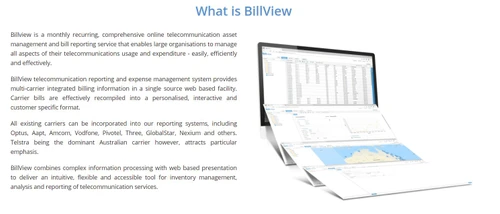 Billview-Reporting