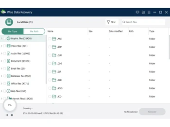 wise data recovery-type