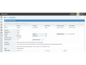 MantisBT Issue Details