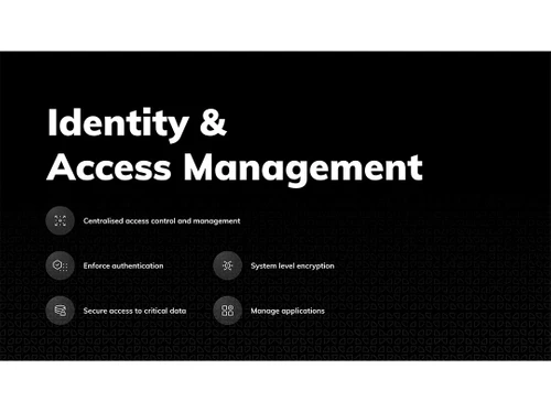 Hexnode-identity-access