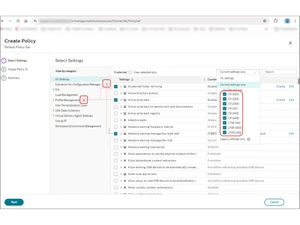 citrix apps and desktops dirtualization setting