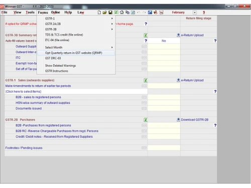 winman-gst-software-options