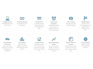 san-crm opportunities