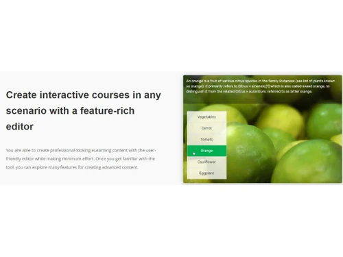 ActivePresenter-feature rich editor