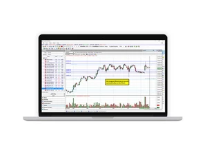 Investarindia Auto Sr