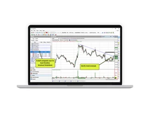 Investarindia Aut trendline