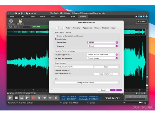 WavePad Audio Editing Software custom