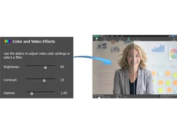 Debut Video Capture Color Adjustments