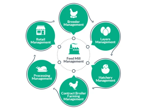 PoultryOS-Flow Chart