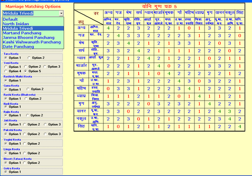 Marriage Matching Premium 3.5 options