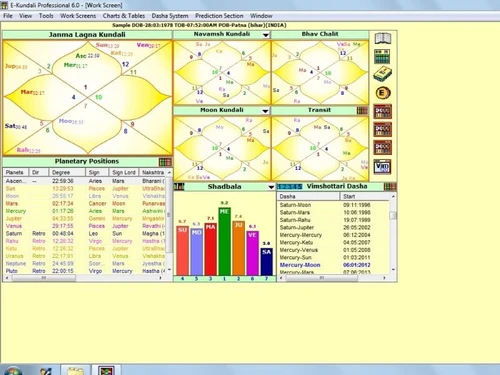 E-Kundali Prof 6 2
