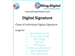 e filing digital signature certificate software usage
