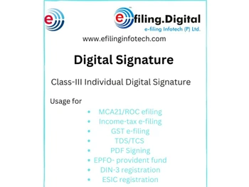 e filing digital signature certificate software usage