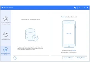 itransor for ios-settings