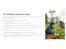 Amity Agriculture ERP-Key challenges