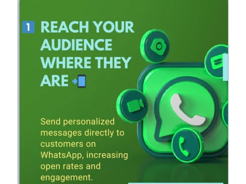 viral-whatsapp-marketing-audience