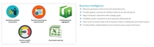 Spectrum ERP business intelligence