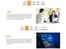 Freedomsoft ERP-Sales & QMS
