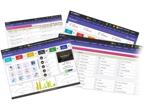Roundpay AEPS dashboard