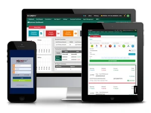 Roundpay AEPS deployment