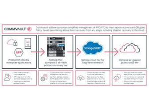 NetApp Backup Solution Bundle with Commvault (Out of A Box) Pricing ...